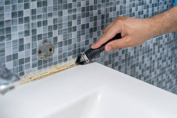 Best Mold Removal Near Me  in Spring Valley, MN