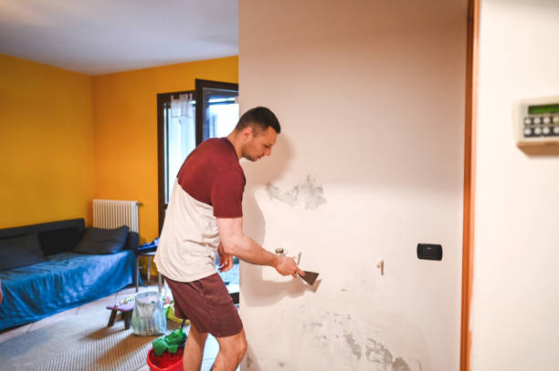 Home Mold Removal in Spring Valley, MN